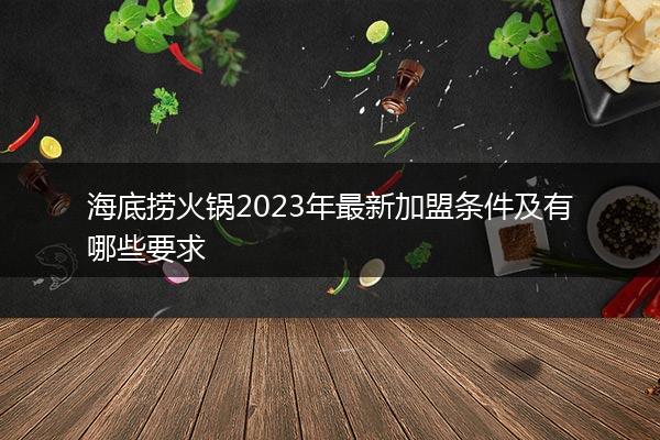 海底捞火锅2023年最新加盟条件及有哪些要求