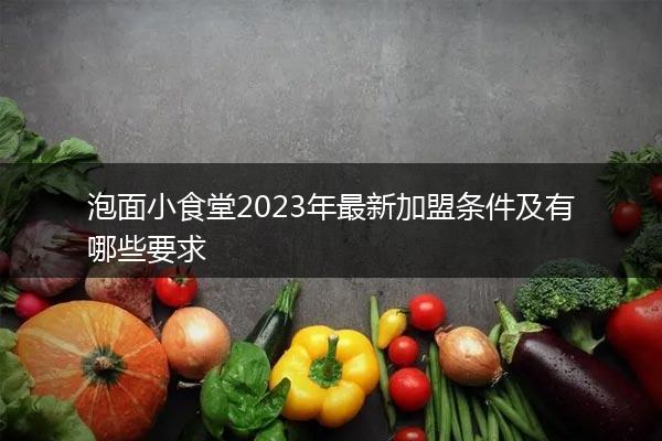 泡面小食堂2023年最新加盟条件及有哪些要求