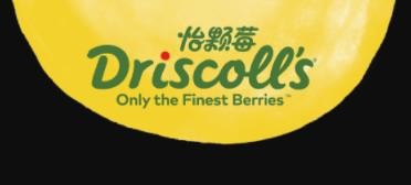 Driscoll's 怡颗莓加盟