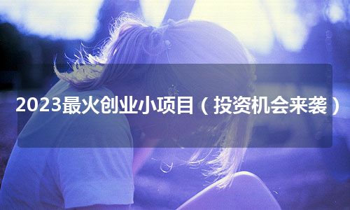 2023最火创业小项目（投资机会来袭）