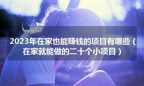 2023年在家也能赚钱的项目有哪些（在家就能做的二十个小项目）