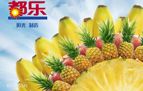 水果店加盟品牌排行榜 十大连锁水果超市