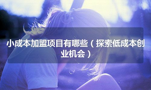 小成本加盟项目有哪些（探索低成本创业机会）