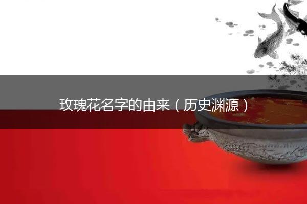 玫瑰花名字的由来（历史渊源）