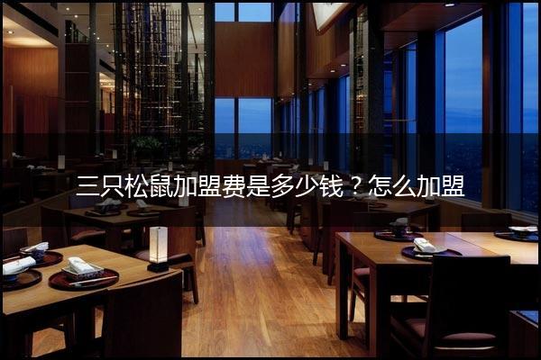 三只松鼠加盟费是多少钱？怎么加盟