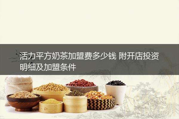 活力平方奶茶加盟费多少钱