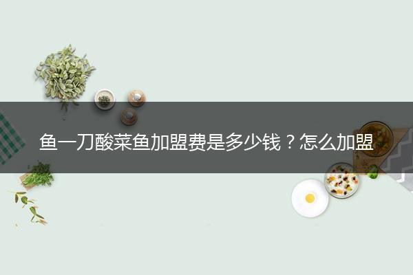 鱼一刀酸菜鱼加盟费是多少钱？怎么加盟