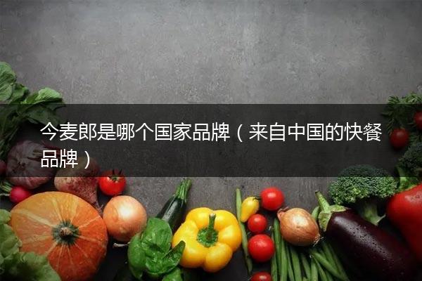 今麦郎是哪个国家品牌（来自中国的快餐品牌）