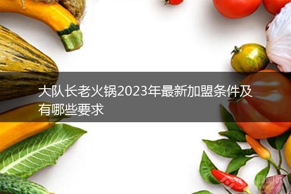 大队长老火锅2023年最新加盟条件及有哪些要求