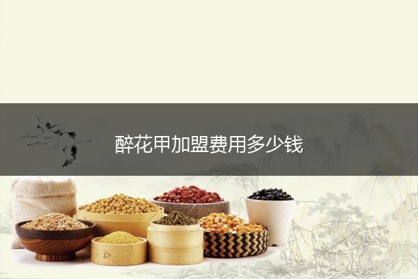 醉花甲加盟费用多少钱