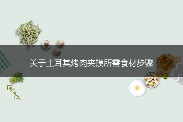 关于土耳其烤肉夹馍所需食材步骤