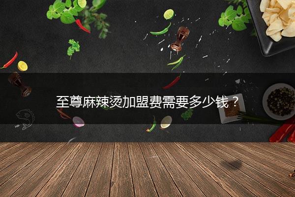 至尊麻辣烫加盟费需要多少钱？
