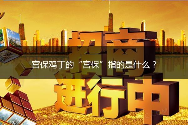 宫保鸡丁的“宫保”指的是什么？