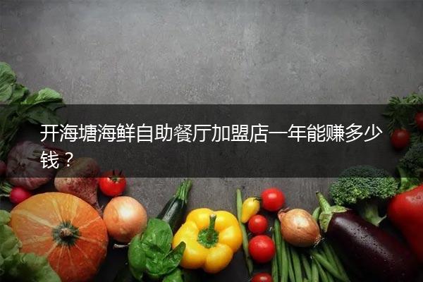开海塘海鲜自助餐厅加盟店一年能赚多少钱？