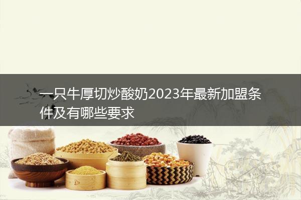 一只牛厚切炒酸奶2023年最新加盟条件及有哪些要求