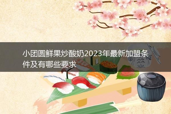 小团圆鲜果炒酸奶2023年最新加盟条件及有哪些要求