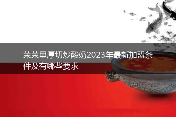 茉茉里厚切炒酸奶2023年最新加盟条件及有哪些要求