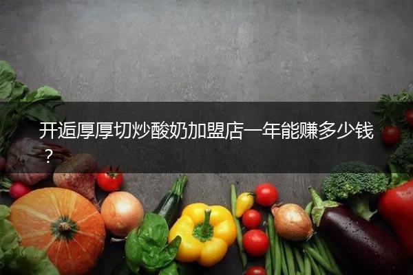 开逅厚厚切炒酸奶加盟店一年能赚多少钱？