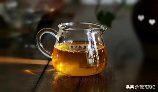 古六大茶山的古树普洱都有什么特点？
