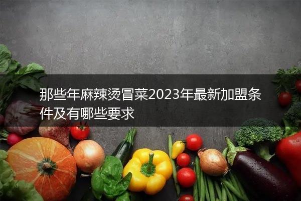 那些年麻辣烫冒菜2023年最新加盟条件及有哪些要求