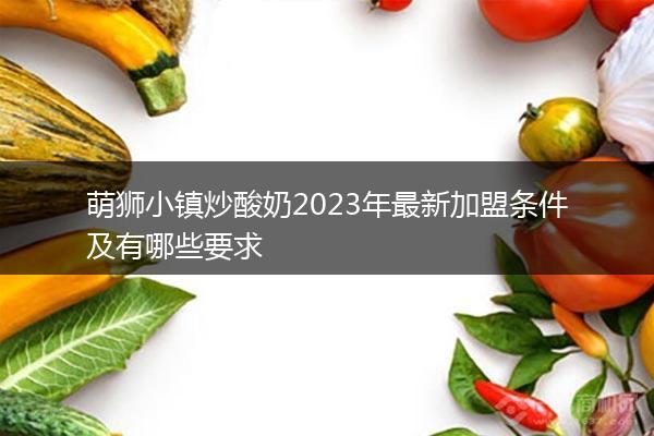 萌狮小镇炒酸奶2023年最新加盟条件及有哪些要求