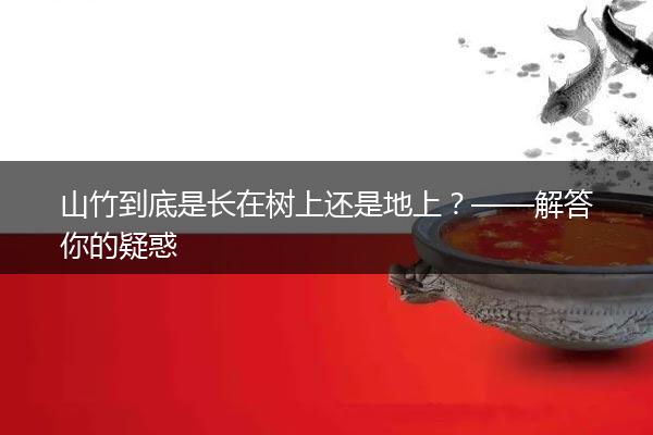 山竹到底是长在树上还是地上？——解答你的疑惑
