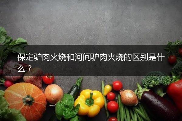 保定驴肉火烧和河间驴肉火烧的区别是什么？