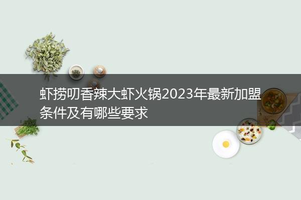 虾捞叨香辣大虾火锅2023年最新加盟条件及有哪些要求