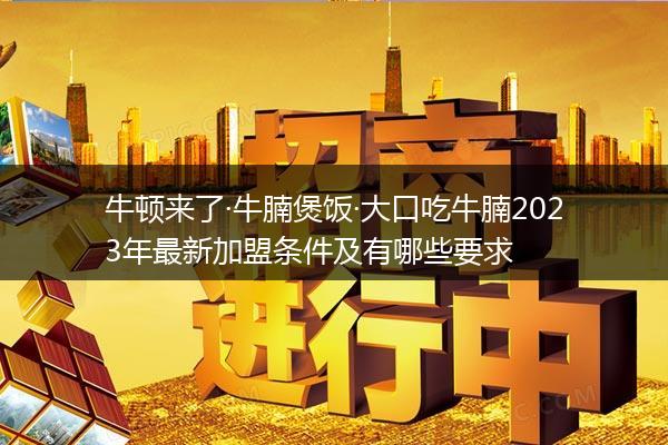 牛顿来了·牛腩煲饭·大口吃牛腩2023年最新加盟条件及有哪些要求
