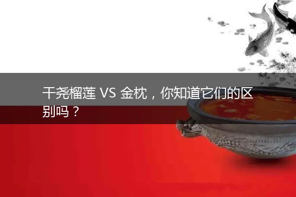 干尧榴莲 VS 金枕，你知道它们的区别吗？