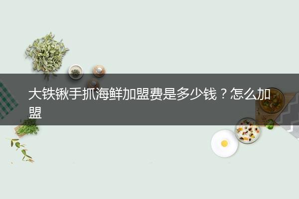 大铁锹手抓海鲜加盟费是多少钱？怎么加盟