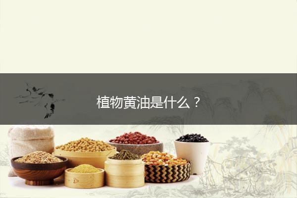 植物黄油是什么？