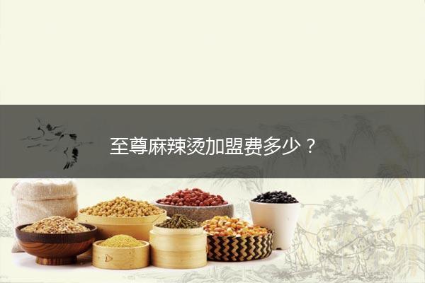 至尊麻辣烫加盟费多少？