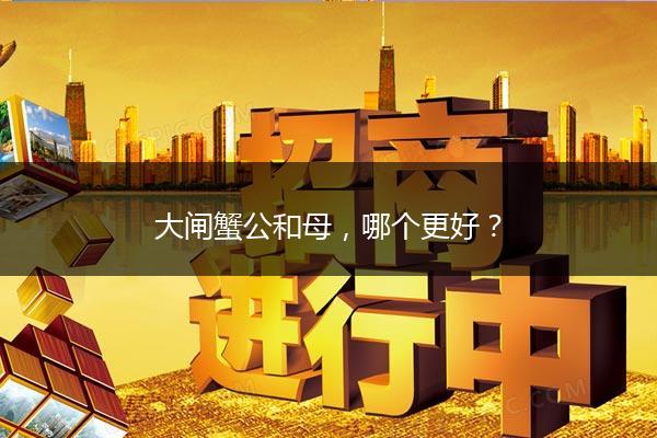 大闸蟹公和母，哪个更好？
