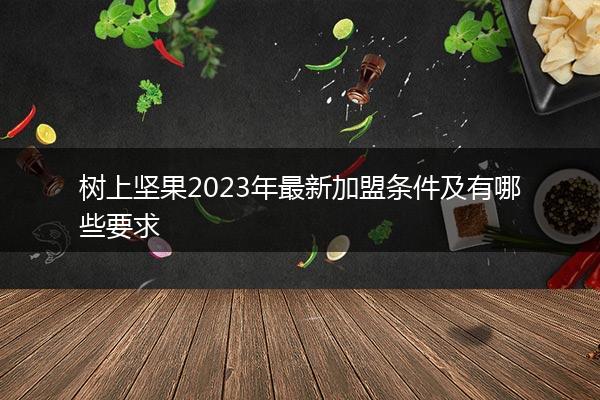 树上坚果2023年最新加盟条件及有哪些要求