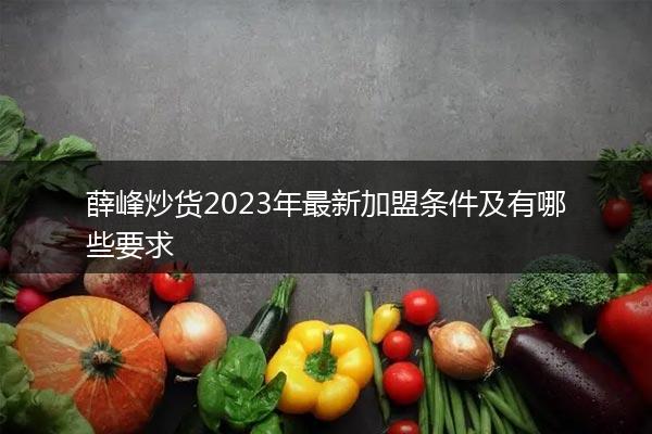 薛峰炒货2023年最新加盟条件及有哪些要求
