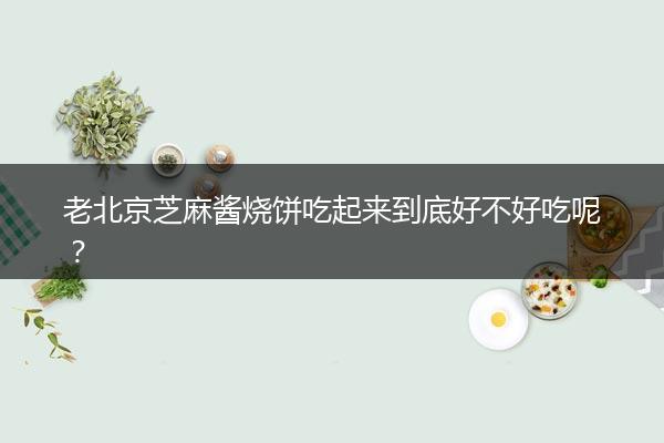 老北京芝麻酱烧饼吃起来到底好不好吃呢？