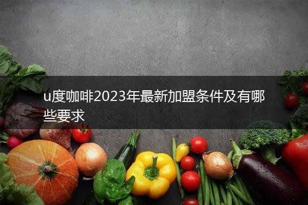 u度咖啡2023年最新加盟条件及有哪些要求