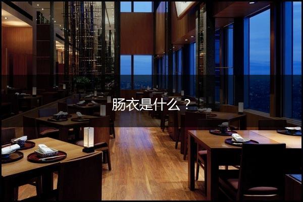 肠衣是什么？