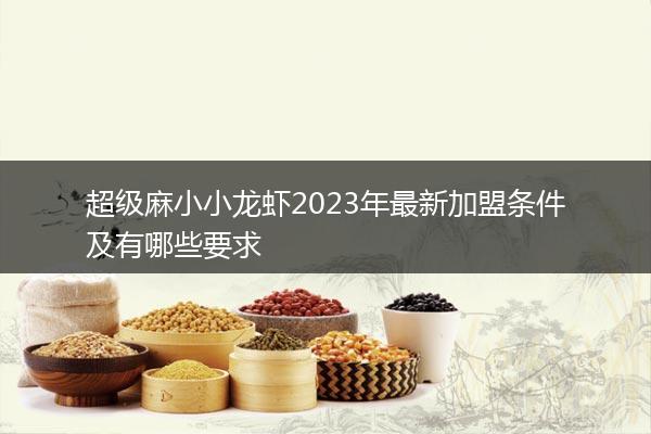 超级麻小小龙虾2023年最新加盟条件及有哪些要求