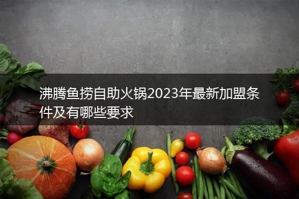 沸腾鱼捞自助火锅2023年最新加盟条件及有哪些要求