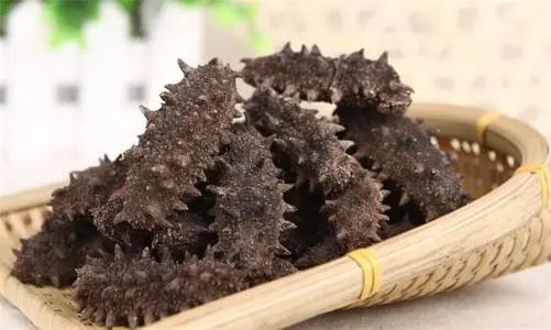 干海参储存冷藏还是冷冻？