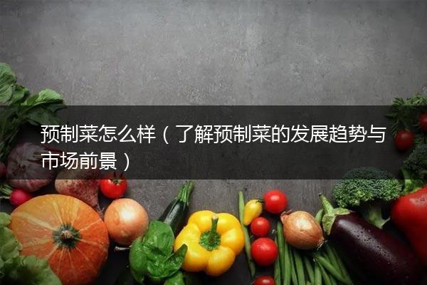 预制菜怎么样（了解预制菜的发展趋势与市场前景）