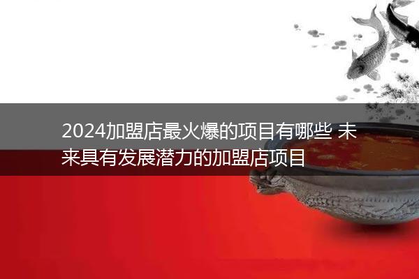 2024加盟店最火爆的项目有哪些 未来具有发展潜力的加盟店项目