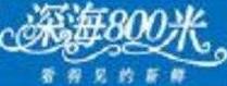 深海800米海鲜自助加盟