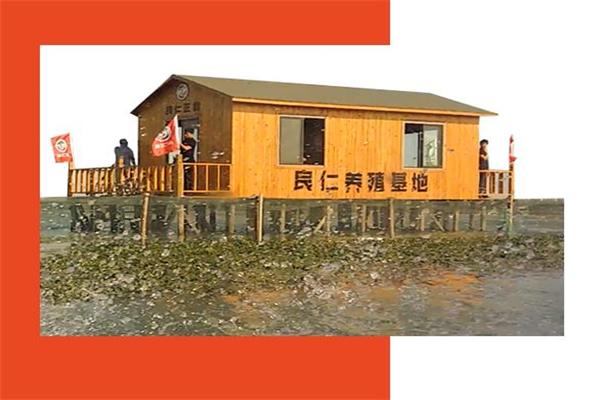 良仁正品阳澄湖大闸蟹加盟产品图片