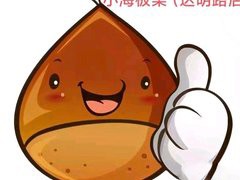 小海板栗加盟