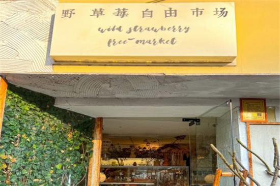 野草莓自由市场加盟产品图片