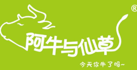 阿牛与仙草奶茶加盟