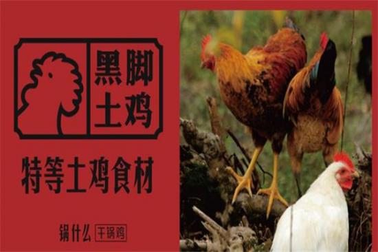 锅什么干锅鸡加盟产品图片